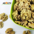 Organic Raw Walnuts in Shell Walnut Kernels low Price